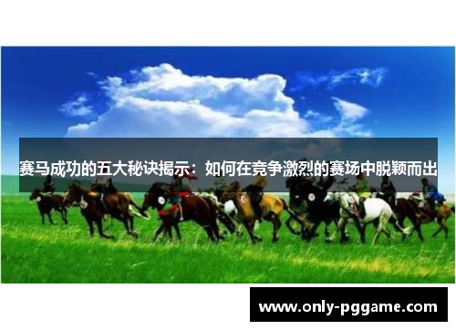 赛马成功的五大秘诀揭示：如何在竞争激烈的赛场中脱颖而出