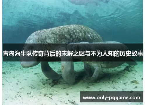青岛海牛队传奇背后的未解之谜与不为人知的历史故事